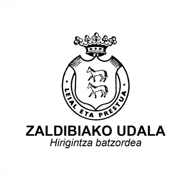 ZALDIBIAKO UDALA -hirigintza.jpg