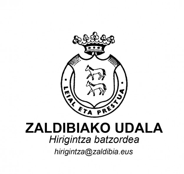 ZALDIBIAKO UDALA @hirigintza.jpg