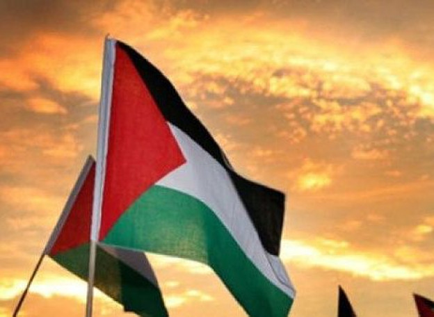 palestina_random_6kjWD3z.jpg.1140x832_q85_box-12,0,475,338_crop_detail.jpg