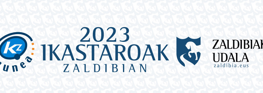 3392cb9ed68e4c69242a863bd1c9b410ikastaroak-portadajpg.jpg